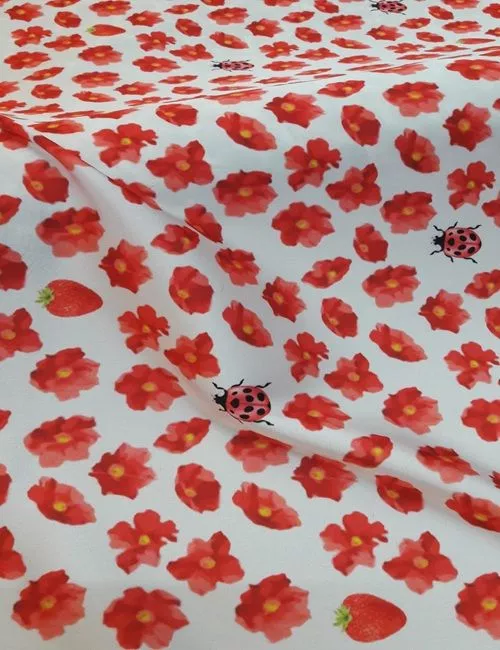 raso disegno coccinella