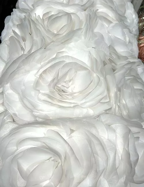 Organza con fiori 3D giganti